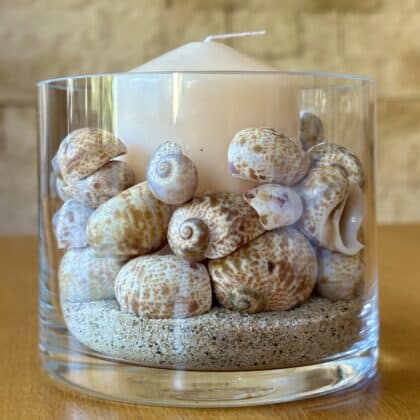 Detalle de caracolas natica mediterráneas sobre arena en vaso de cristal